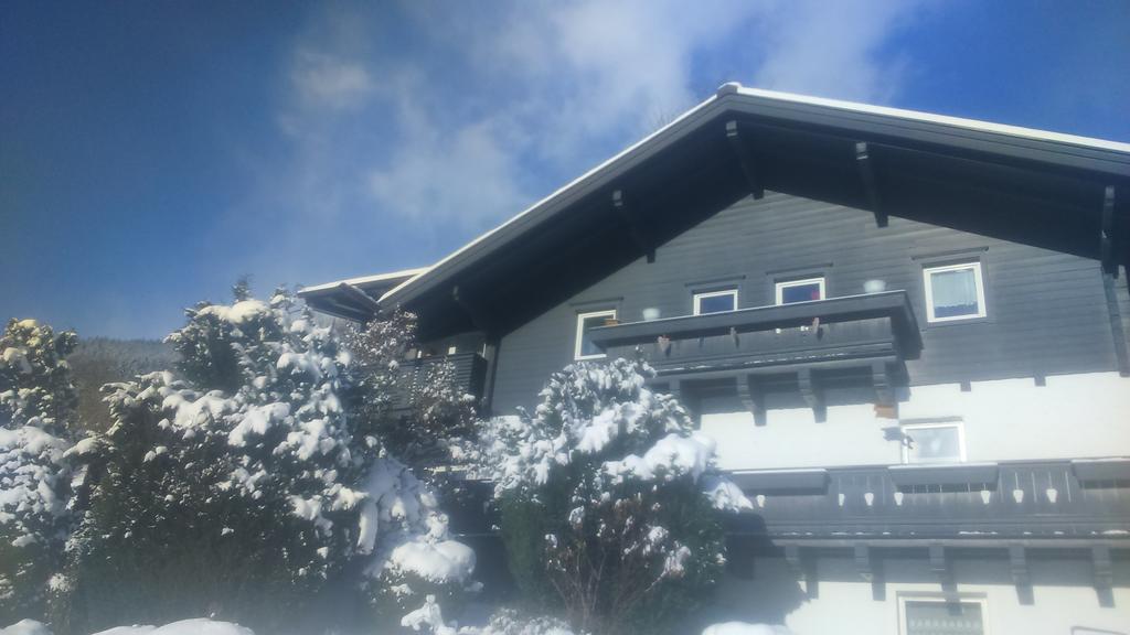 Emma Apartment Bramberg am Wildkogel Bagian luar foto